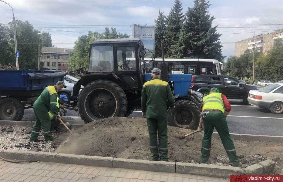 На ул. Горького во Владимире разбит новый газон