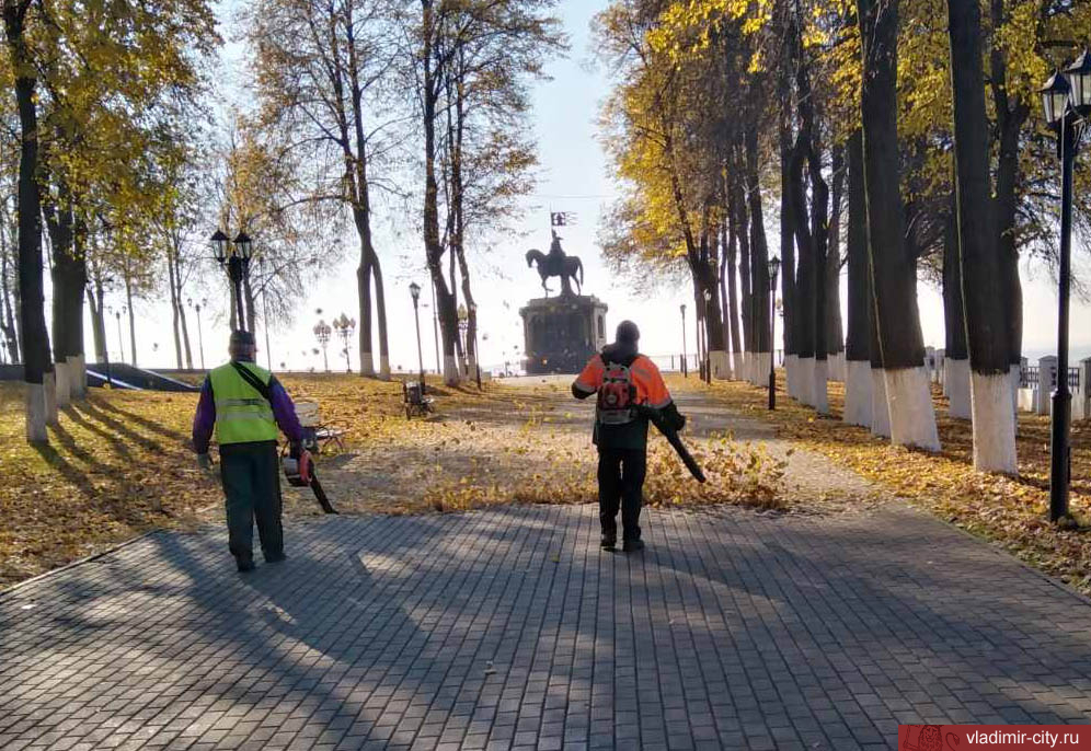 Во Владимире работы по содержанию зеленых насаждений выполняются ежедневно