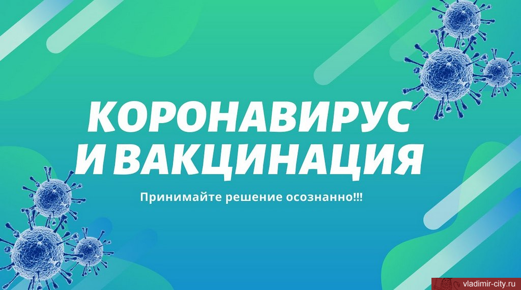 Во Владимир за время прививочной кампании поступило свыше 199,3 тыс. доз вакцины от ковида