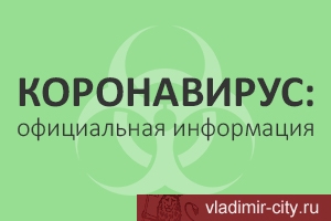 На сайте мэрии Владимира открыт раздел о профилактике коронавируса