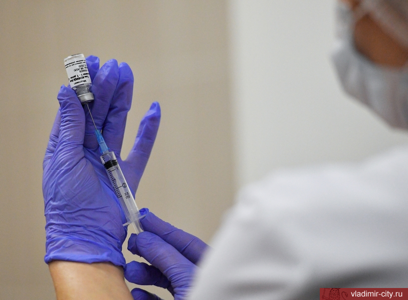За время прививочной кампании во Владимир поступило более 228,6 тыс. доз вакцины