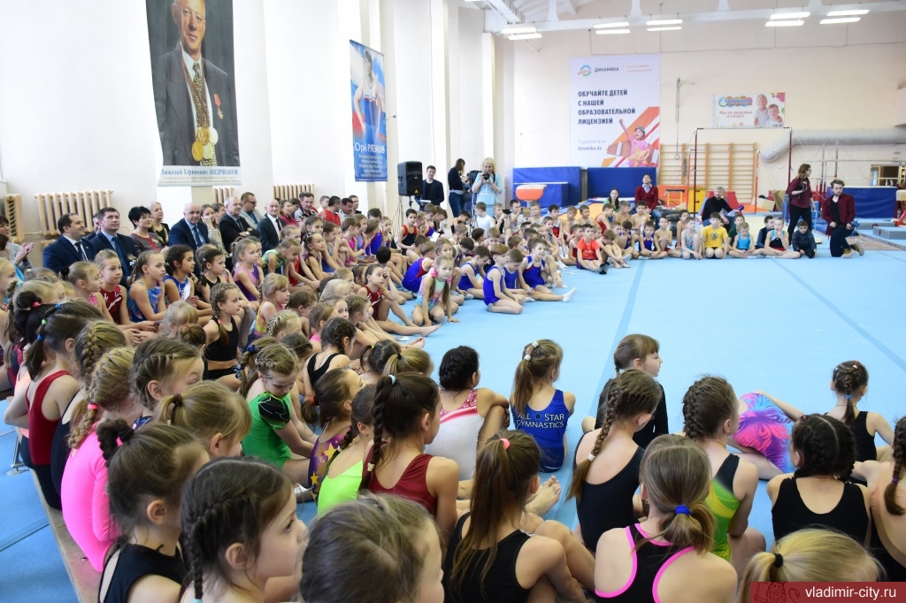 Андрей Шохин поздравил владимирских гимнастов