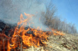На территории города Владимира устанавливается  пожароопасный период