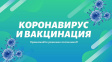 Во Владимир за время прививочной кампании поступило свыше 199,3 тыс. доз вакцины от ковида
